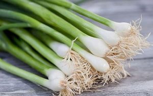 Hành hoa có tác dụng chống viêm, chống nhiễm khuẩn, sát trùng, phòng ngừa vi khuẩn xâm nhập, thúc đẩy quá trình làm lành tổn thương và vết loét trên bề mặt da...
