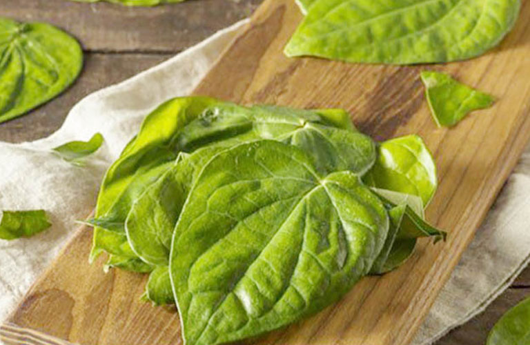 Tận dụng lá trầu không để điều trị bệnh hắc lào tại nhà