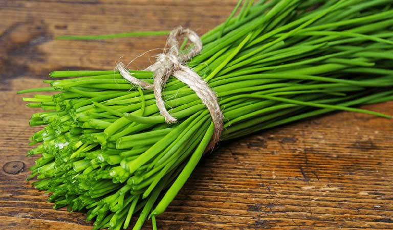 Lá hẹ có tác dụng kháng viêm, diệt khuẩn, giảm ngứa, tăng cường sức đề kháng cho người bị mề đay