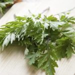 Cây ngải dại có đặc điểm giống với ngải cứu với thành phần kháng khuẩn, chống nhiễm trùng cao