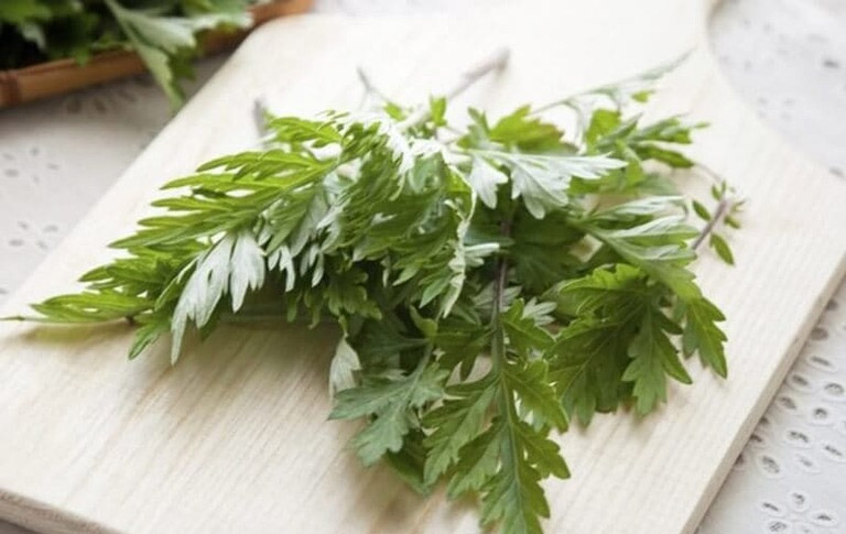 Cây ngải dại có đặc điểm giống với ngải cứu với thành phần kháng khuẩn, chống nhiễm trùng cao