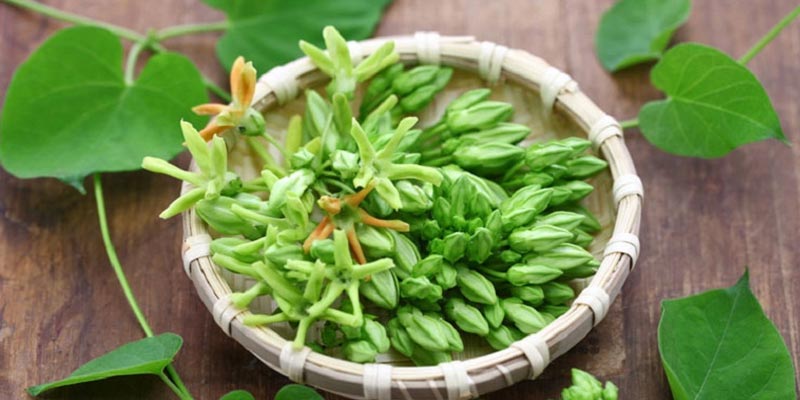 Đặc điểm của hoa thiên lý