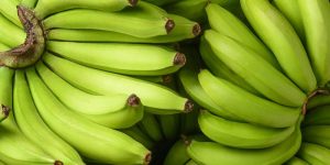 Dùng chuối xanh chữa mất ngủ hiệu quả không?