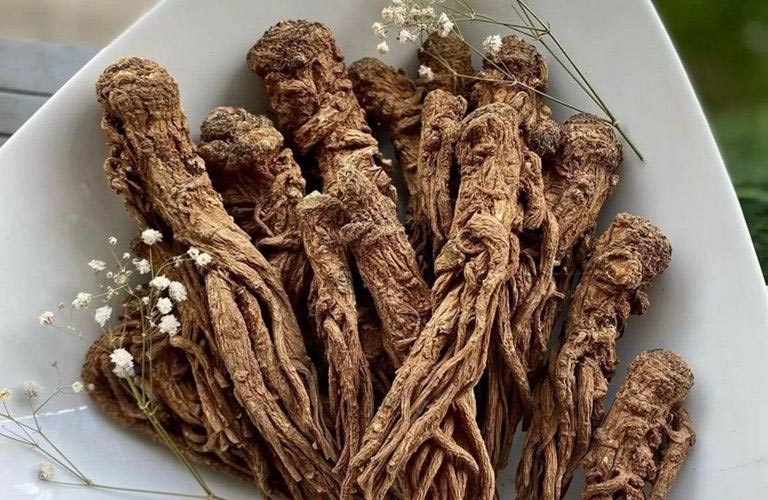 Đương quy là dược liệu được dùng rộng rãi trong Y học cổ truyền