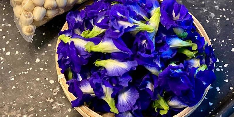 Hoa đậu biếc trị mất ngủ hiệu quả không?