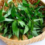 Chiết xuất rau răm có khả năng ức chế sự phát triển của vi khuẩn Staphylococcus aureus