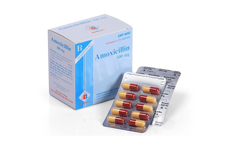Các loại kháng sinh trên hoạt động bằng cách tiêu diệt/ức chế sự phát triển của vi khuẩn gây viêm xoang