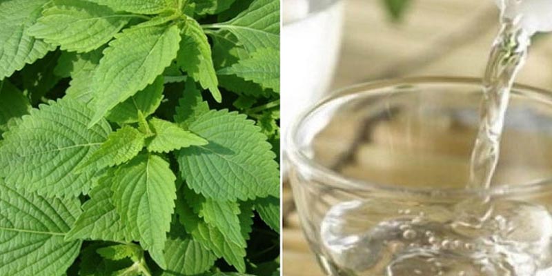 Trị mề đay bằng rượu có an toàn, hiệu quả không?